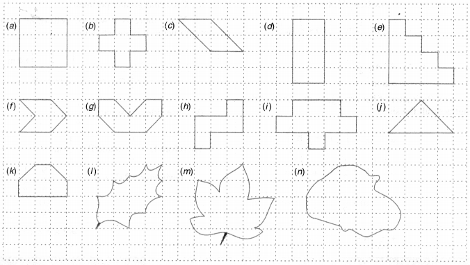 NCERT Solutions for Class 6 Maths Chapter 10 Mensuration 16